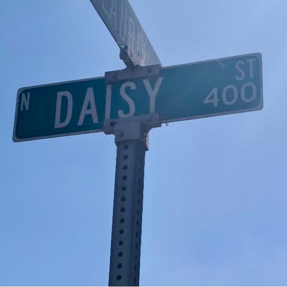 daisybravo583